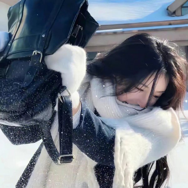 汽车女窃贼